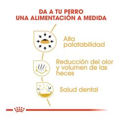 Royal Canin Chihuahua Adult