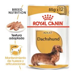 Royal Canin Dachshund, 12 x 85 Gr