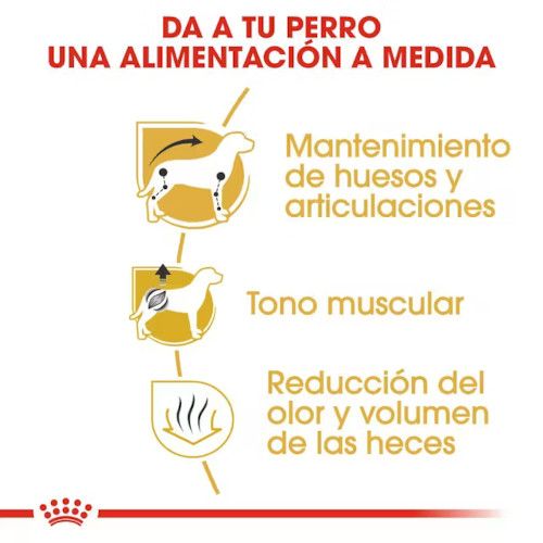 Royal Canin Dachshund Adult 7,5 kg