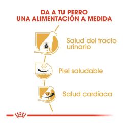 Royal Canin Dalmatian, 12 Kg