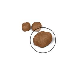 Royal Canin Dental Oral Care