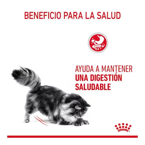 Royal Canin Digest Sensitive Gravy, 12 x 85 Gr