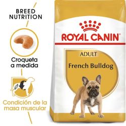 Royal Canin French Bulldog Adult, 9 Kg