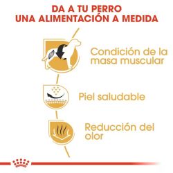 Royal Canin French Bulldog Adult, 9 Kg