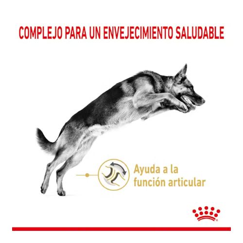 Royal Canin German Shepherd Adult +5, 12 kg