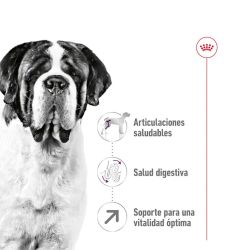 Royal Canin Giant Adult, 15 Kg