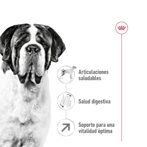 Royal Canin Giant Adult, 15 Kg