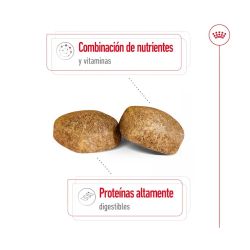 Royal Canin Giant Adult, 15 Kg