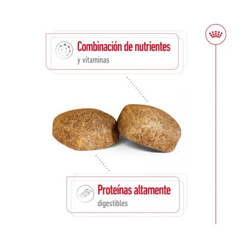 Royal Canin Giant Adult, 15 Kg