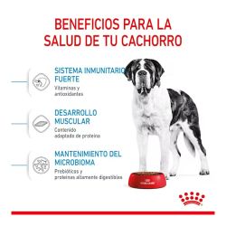 Royal Canin Giant Junior, 15 Kg