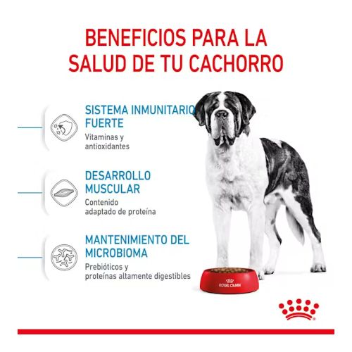Royal Canin Giant Junior, 15 Kg