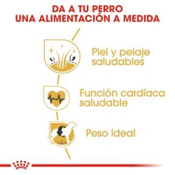 Royal Canin Golden Retriever Adult, 12 Kg