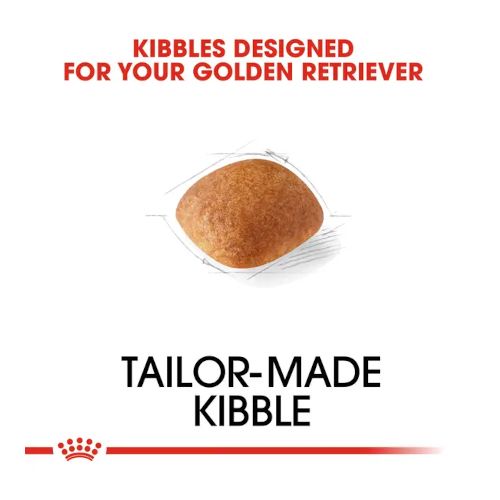 Royal Canin Golden Retriever Adult