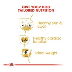 Royal Canin Golden Retriever Adult