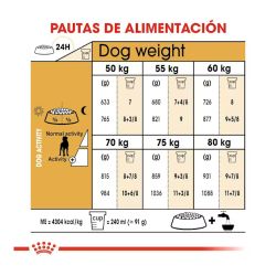 Royal Canin Gran Danés, 12 Kg