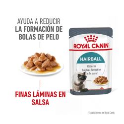 Royal Canin Hairball Care Gravy, 12 x 85 Gr