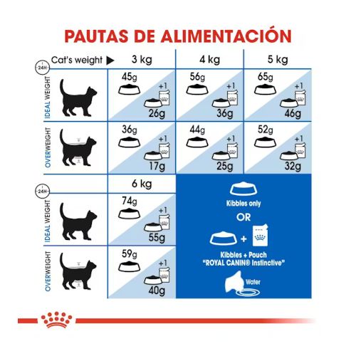 Royal Canin Indoor 27
