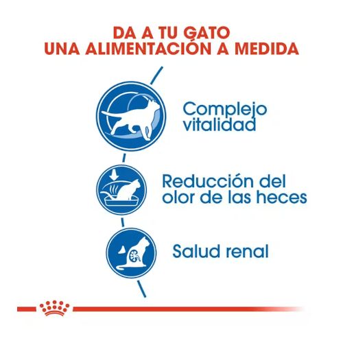 Royal Canin Indoor 7+