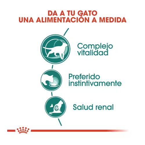 Royal Canin Instinctive 7+, 12 x 85 Gr