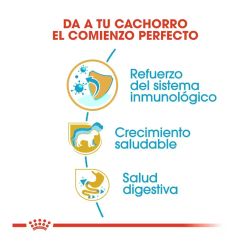 Royal Canin Jack Russell Terrier Puppy, 3 kg
