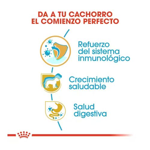 Royal Canin Jack Russell Terrier Puppy, 3 kg