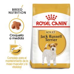 Royal Canin Jack Russell Terrier