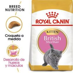 Royal Canin Kitten British Shorthair, 2 kg