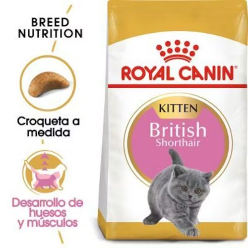 Royal Canin Kitten British Shorthair, 2 kg