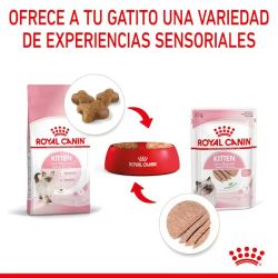 Royal Canin Kitten Loaf-Textura, Pack de 12u x 85 Gr