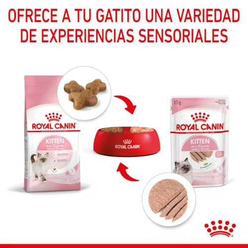 Royal Canin Kitten Loaf-Textura, Pack de 12u x 85 Gr