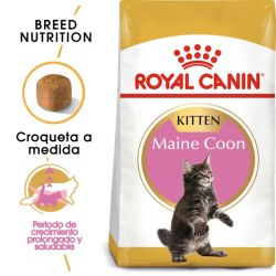 Royal Canin Kitten Maine Coon
