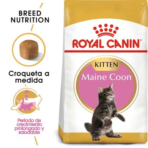 Royal Canin Kitten Maine Coon