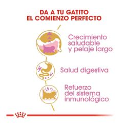 Royal Canin Kitten Persian