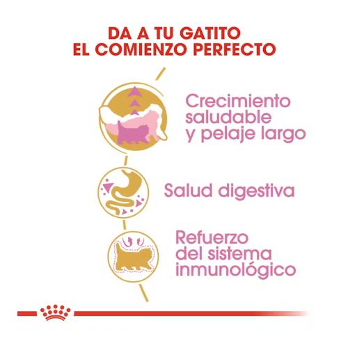 Royal Canin Kitten Persian