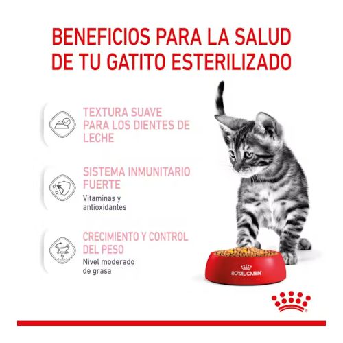 Royal Canin Kitten Sterilised Jelly, 12 x 85 Gr