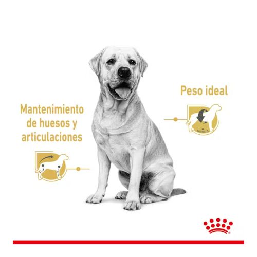 Royal Canin Labrador Adult, 10 x 140 gr