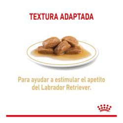 Royal Canin Labrador Adult, 10 x 140 gr