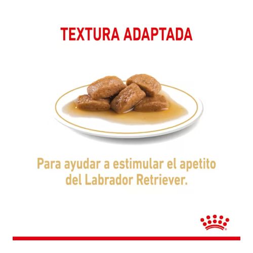 Royal Canin Labrador Adult, 10 x 140 gr