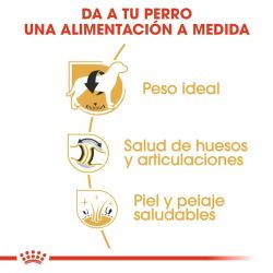 Royal Canin Labrador Retriever 12 kg