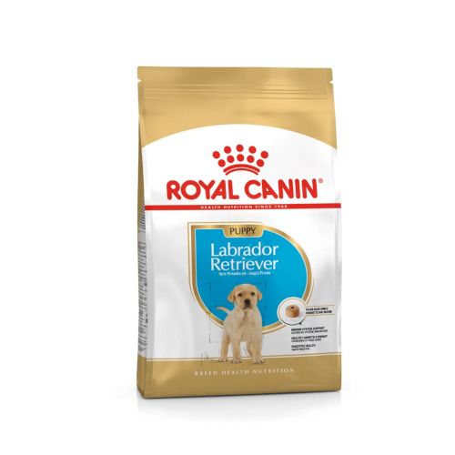 Royal Canin Labrador Retriever Puppy