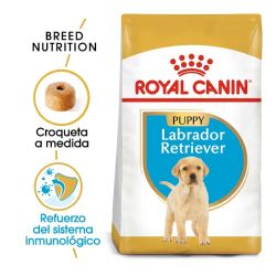 Royal Canin Labrador Retriever Puppy