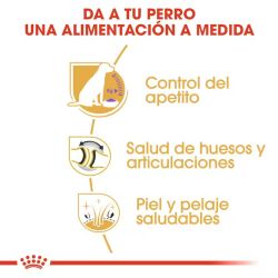 Royal Canin Labrador Retriever Sterilised, 12 Kg