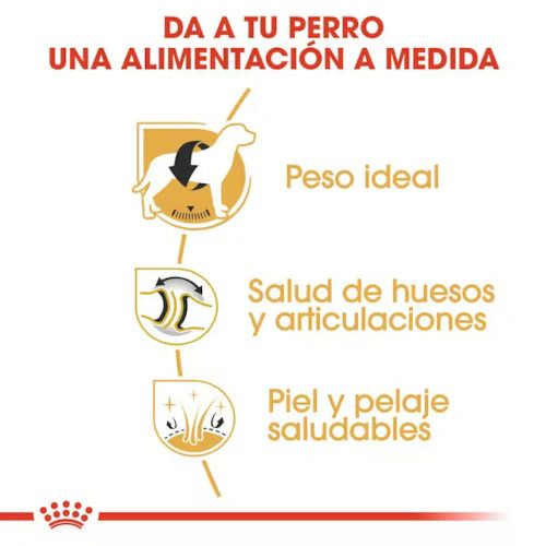 Royal Canin Labrador Retriever