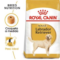 Royal Canin Labrador Retriever