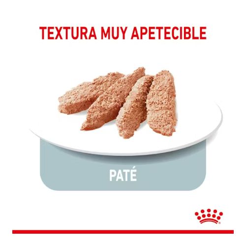 Royal Canin Light Weight Care, 12 x 85 Gr