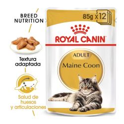 Royal Canin Maine Coon, 12 x 85 Gr