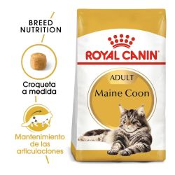 Royal Canin Maine Coon