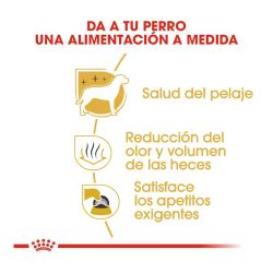 Royal Canin Maltese Adult