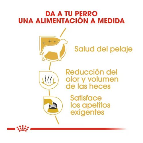 Royal Canin Maltese Adult