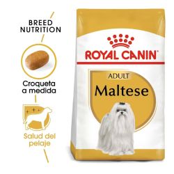 Royal Canin Maltese Adult